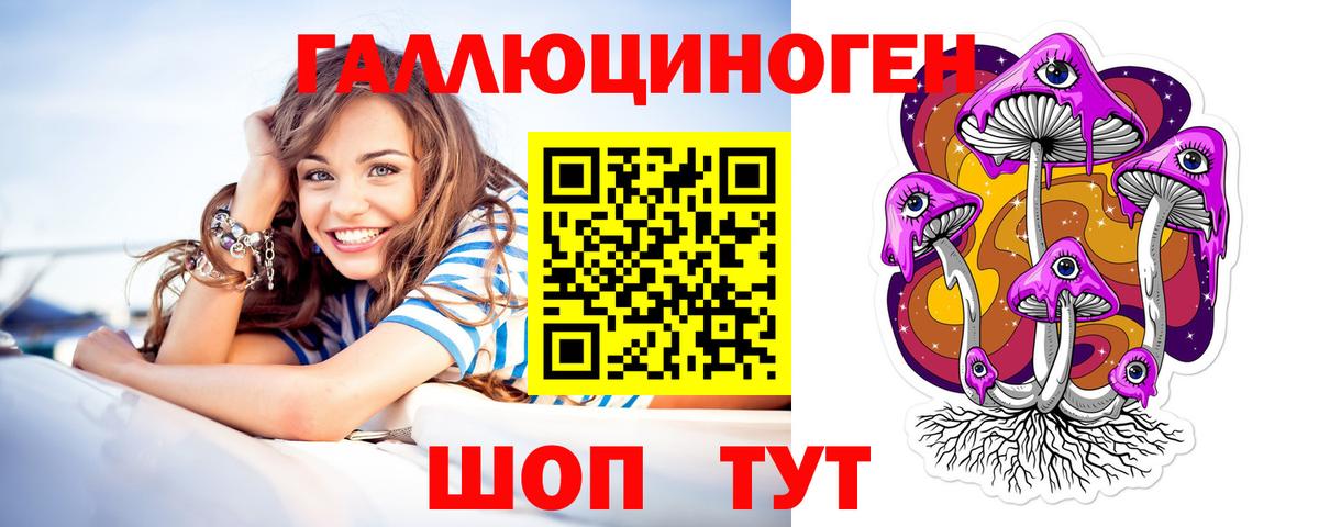 Псилоцибиновые грибы Psilocybine cubensis Аксай
